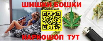 индика Дубна