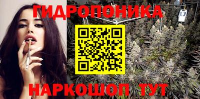 индика Дубна