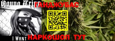 индика Дубна