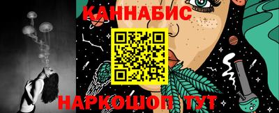 индика Дубна