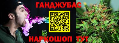 индика Дубна