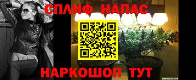 индика Дубна