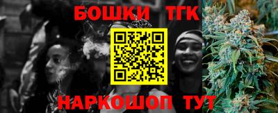 индика Дубна