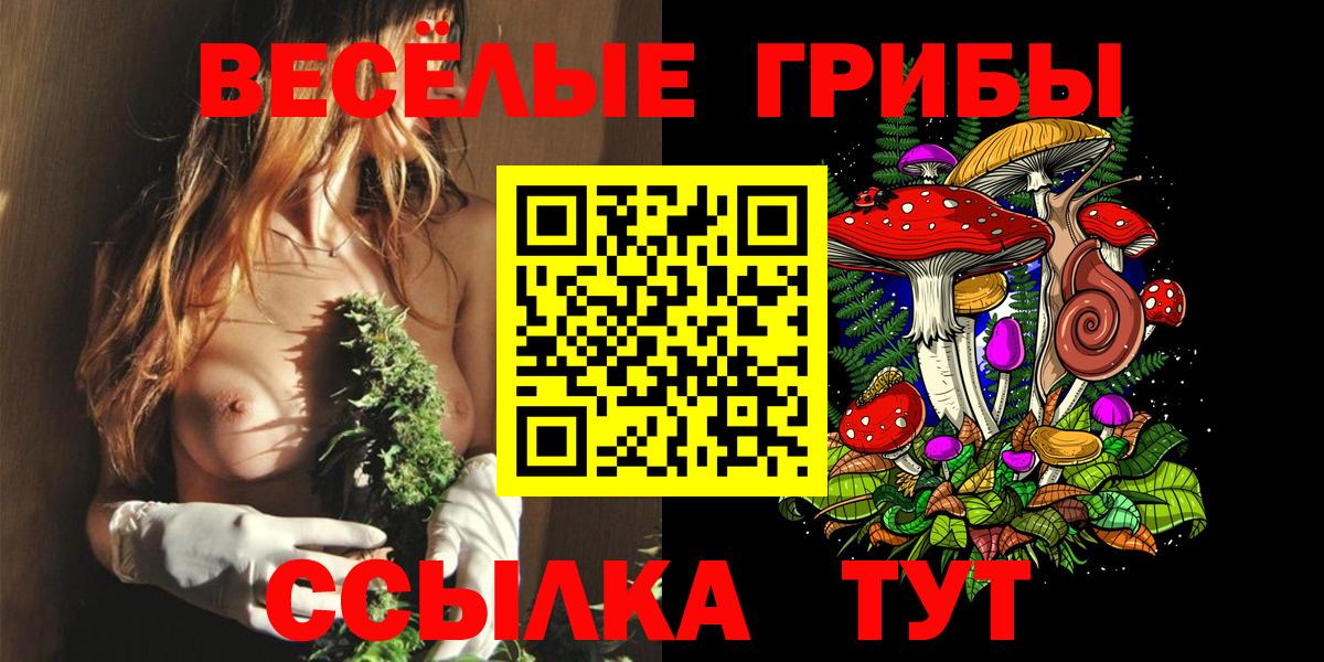 даркнет сайт  Вход с VPN  Ликино-Дулёво  Галлюциногенные грибы Magic Shrooms 