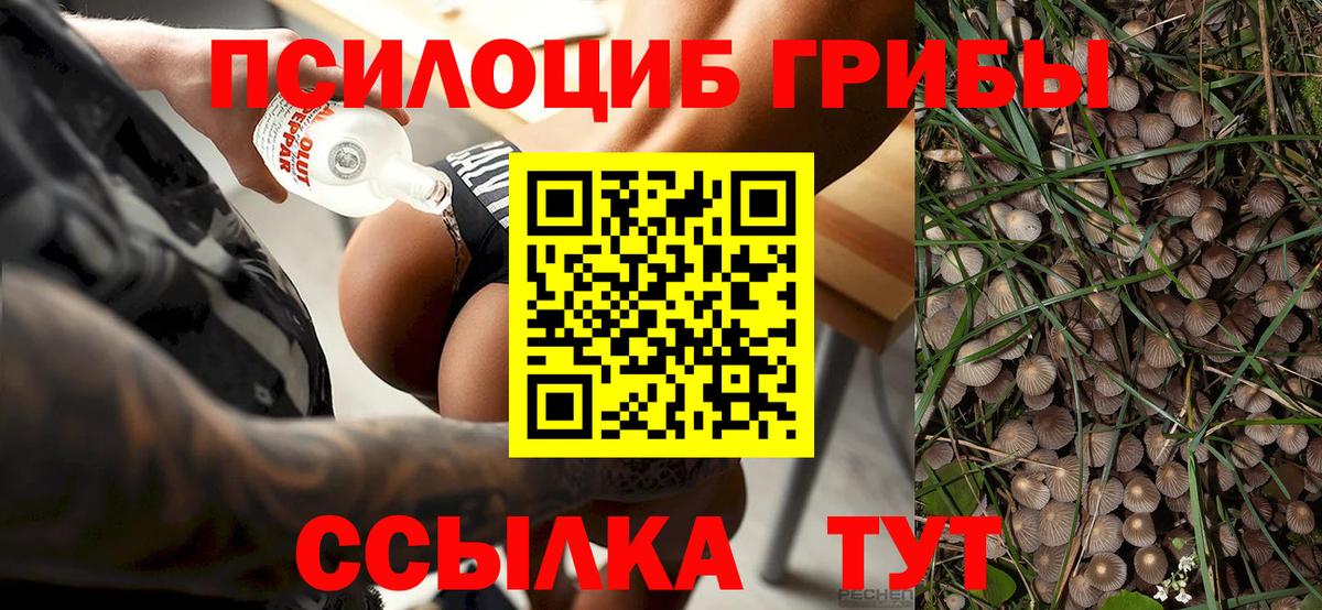 Галлюциногенные грибы MAGIC MUSHROOMS Ликино-Дулёво